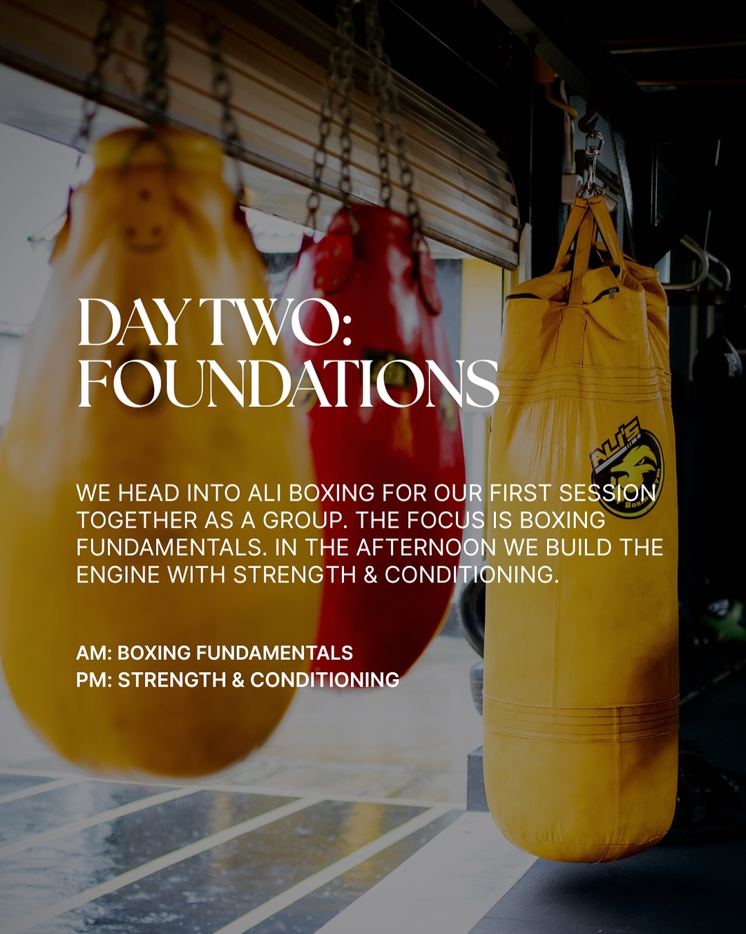 Day 02 - FOUNDATIONS