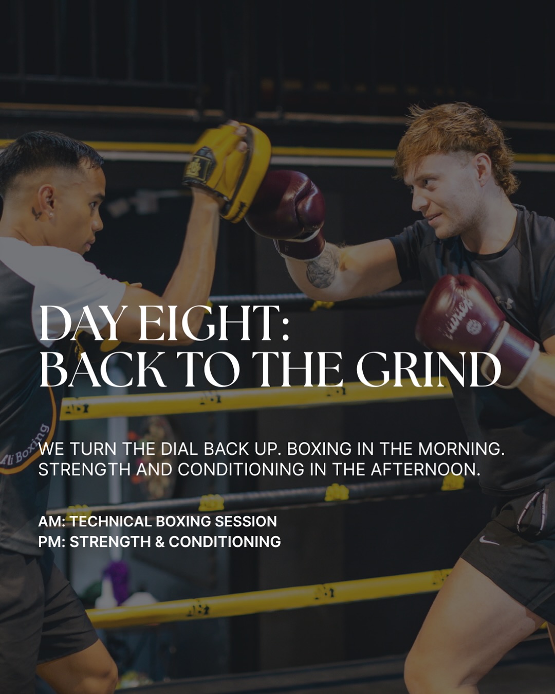 Day 08 - BACK TO THE GRIND